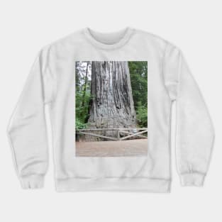 Redwoods California Nature Photography Pacific Northwest Crewneck Sweatshirt